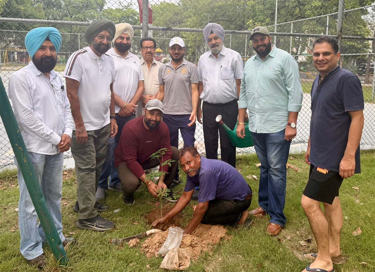 Van Mahotsav Celebrated by Planting Moringa and Shisham Trees